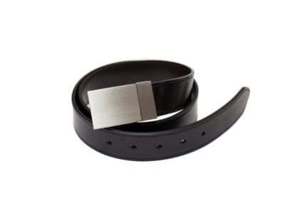 metallic belt